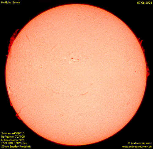 habild_1.jpg (134529 Byte)