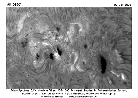 habild_2.jpg (76136 Byte)