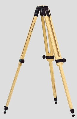 EinfacherAuszug.jpg (30938 Byte)