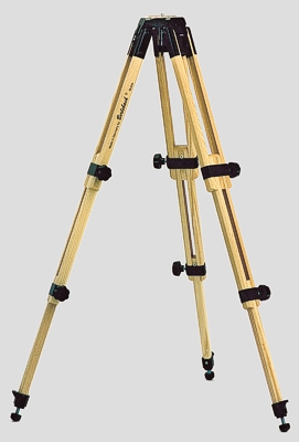 ZweifacherAuszug.jpg (34440 Byte)